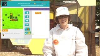 C1 bee level intro