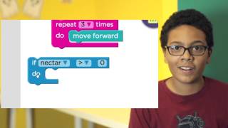 C3 bee conditionals